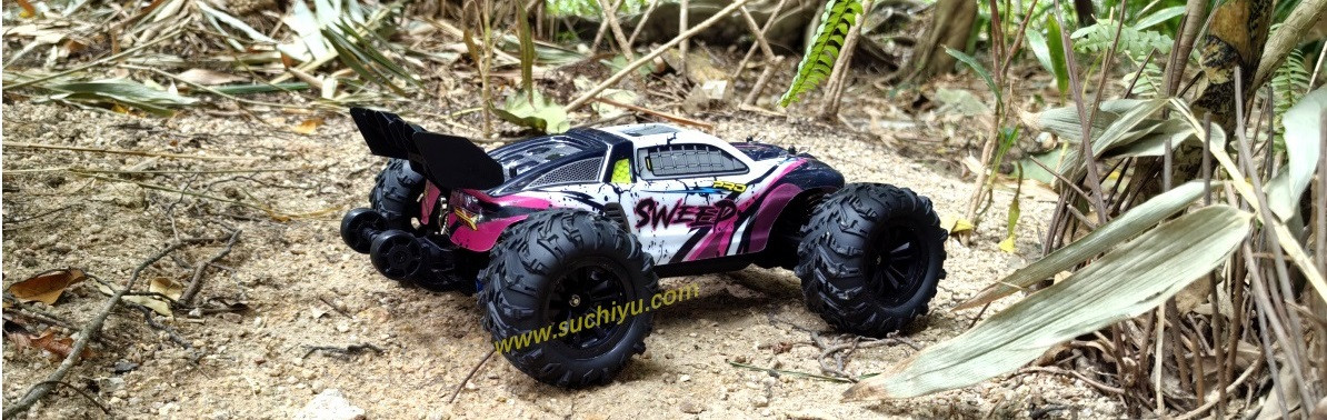SCY 16101 PRO Brushless 1/16 2.4g 4wd high speed rc car
